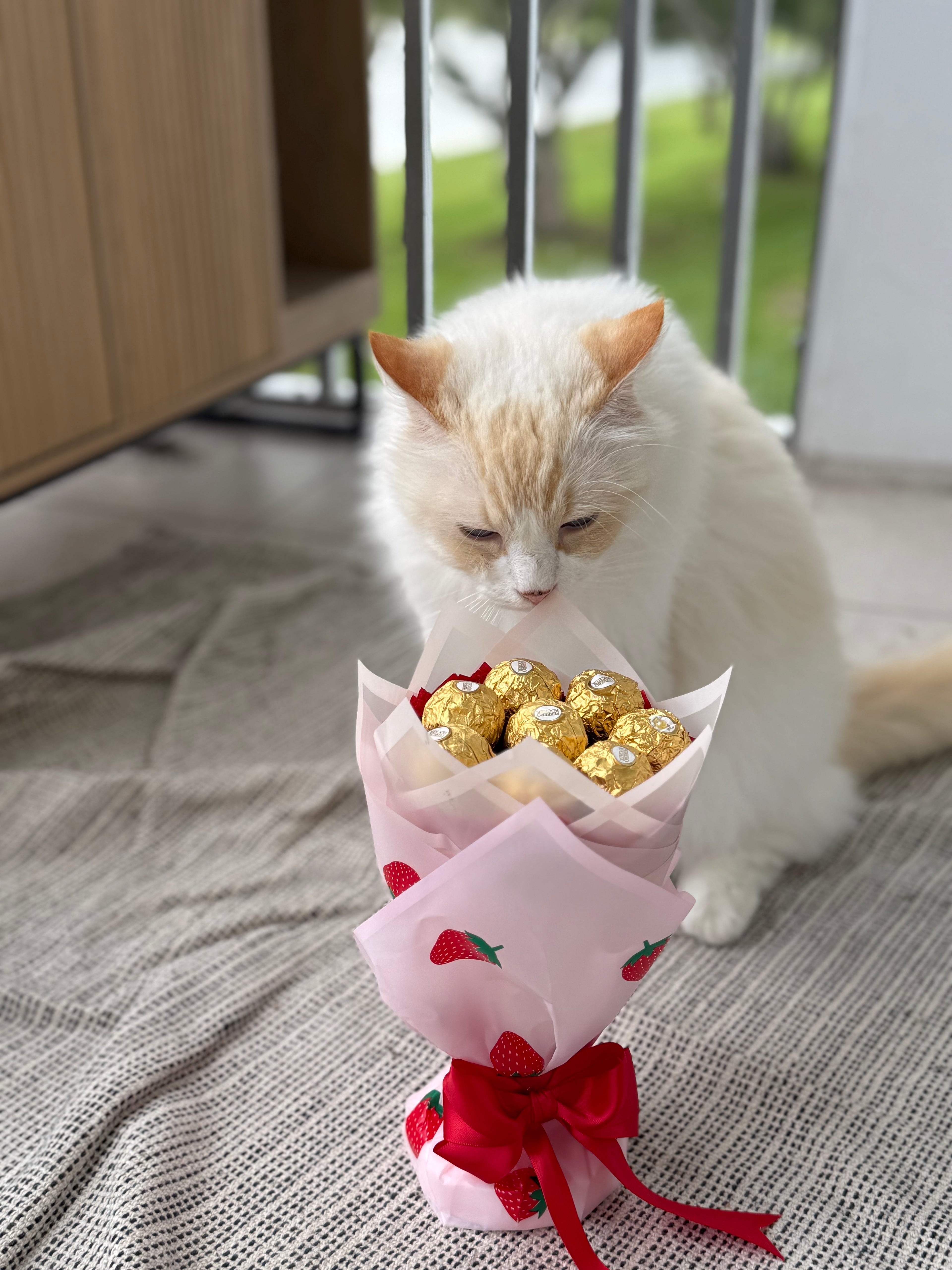 ROYAL TREAT