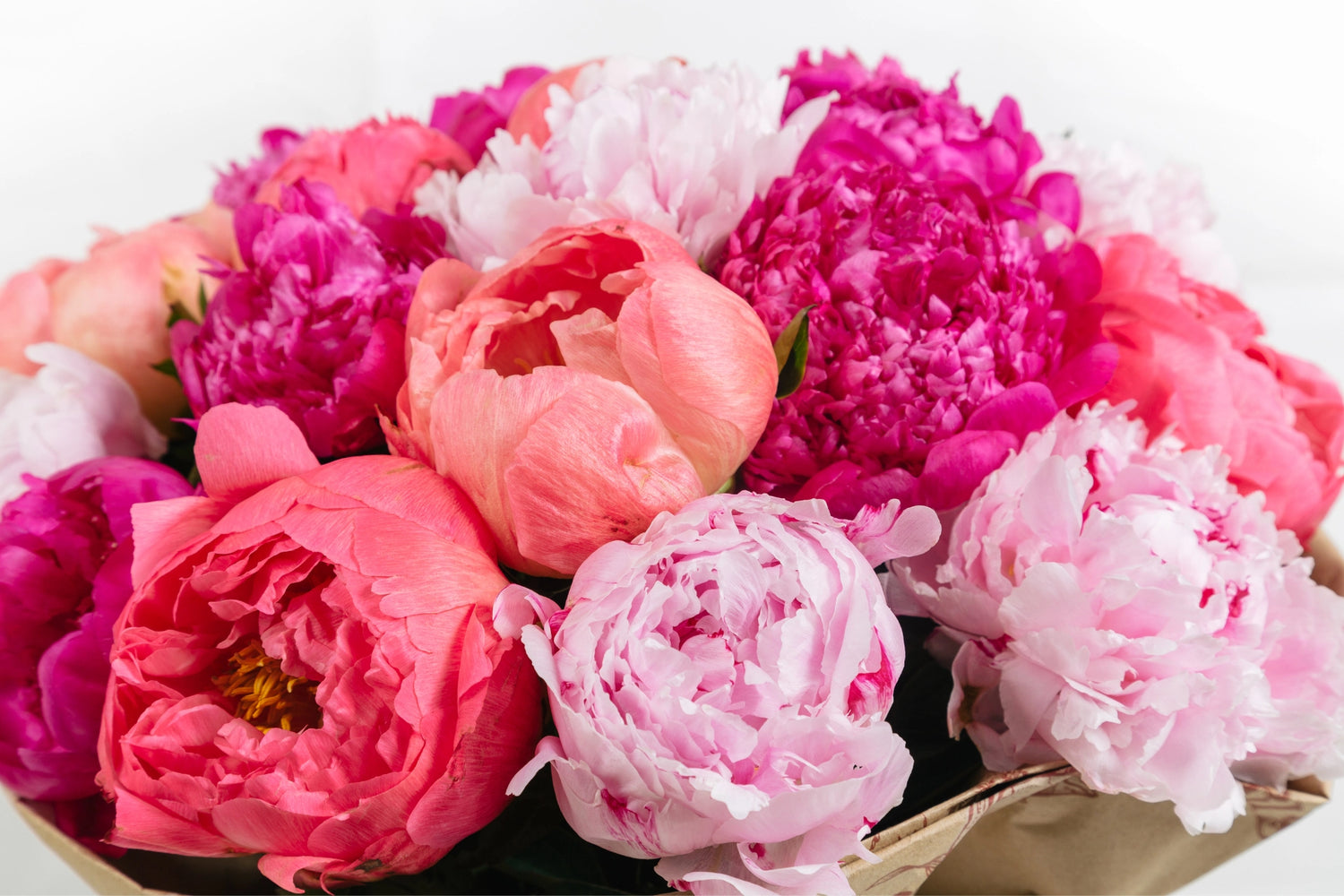 Peonies Flower Arrangements