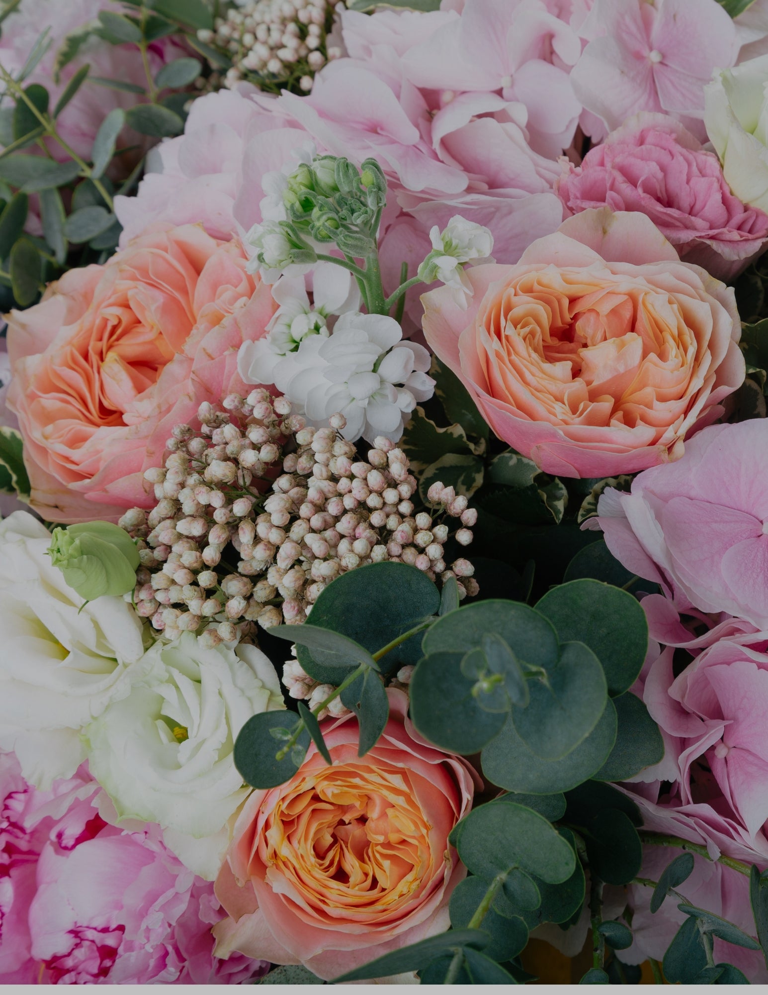 slideshow mobile background image