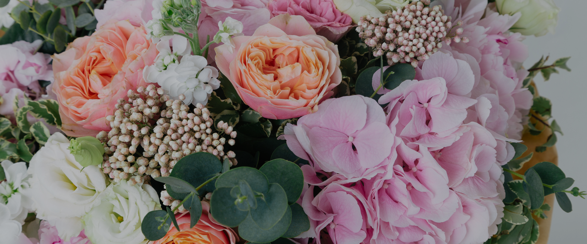 slideshow background