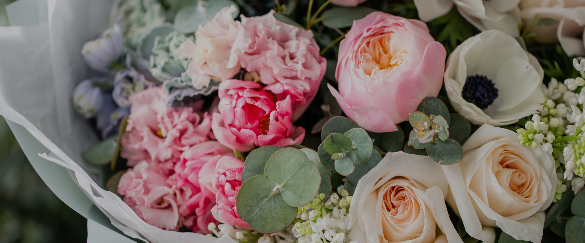 slideshow background