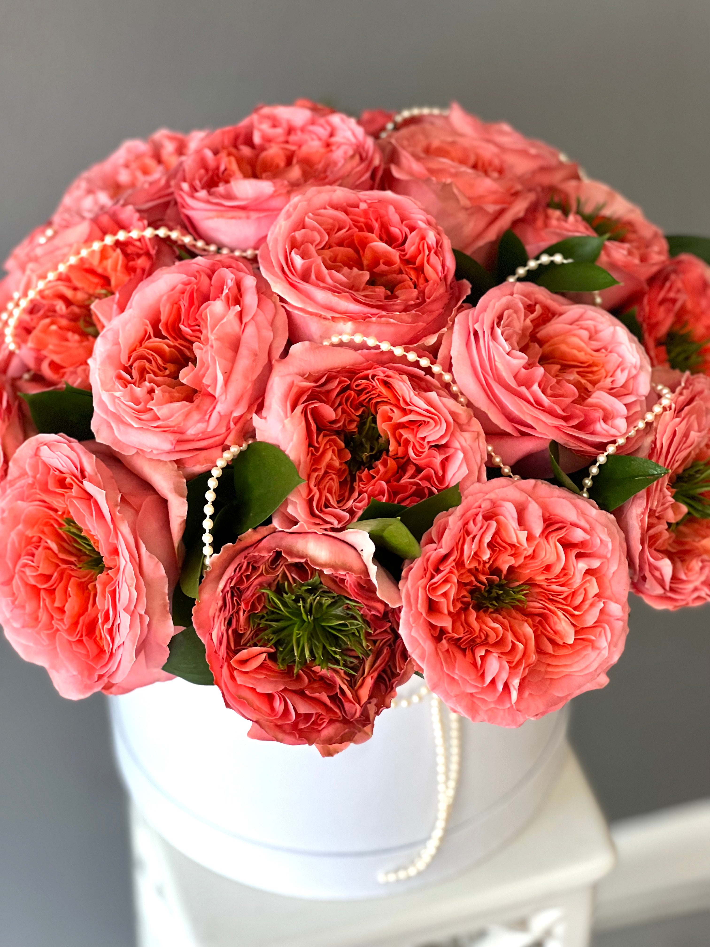 countdown banner image