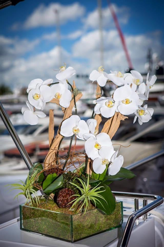 White Pearl Orchids