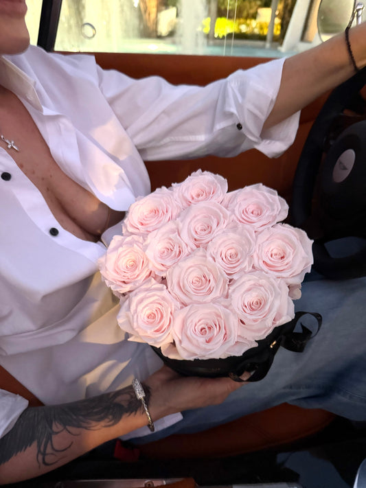BLUSH COUTURE ROSES