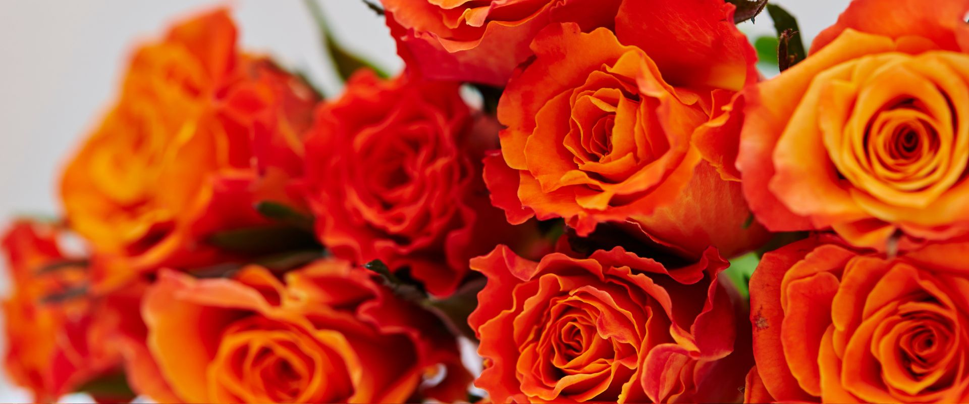 countdown banner image